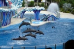 Sea World