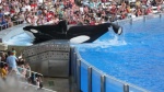 Sea World